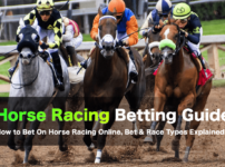 Horse Racing Betting Guide