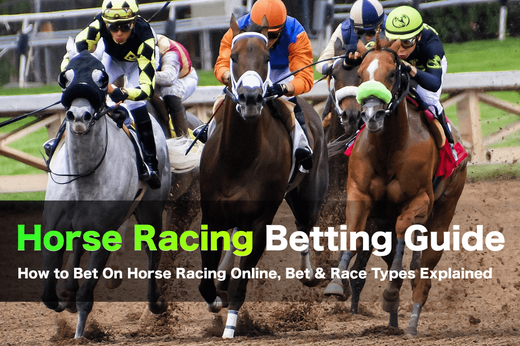 Horse Racing Betting Guide