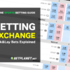 Betting Exchange Explained